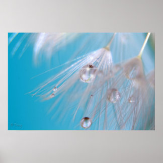 魔法のタンポポ ポスター