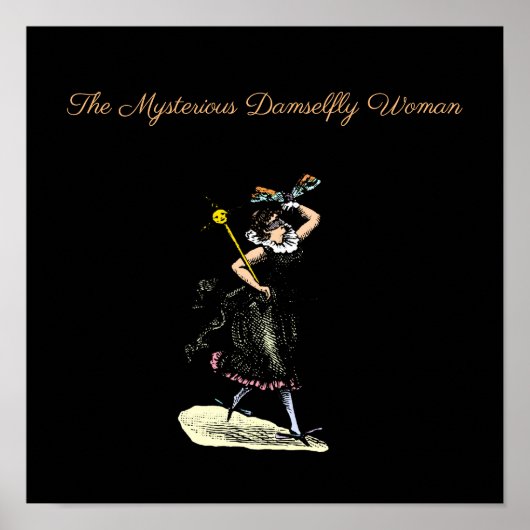魔法のダンセルフライの女性 ポスター (正面)