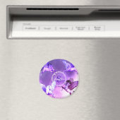 魔法のペガサス宇宙。 マグネット (インサイチュ (食洗機))