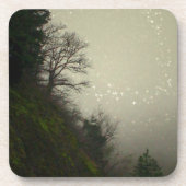 魔法のミストフォレストヒル コースター (正面)