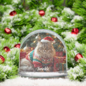 魔法のメインクーン猫のクリスマス  パーソナライズされた (クリスマス)