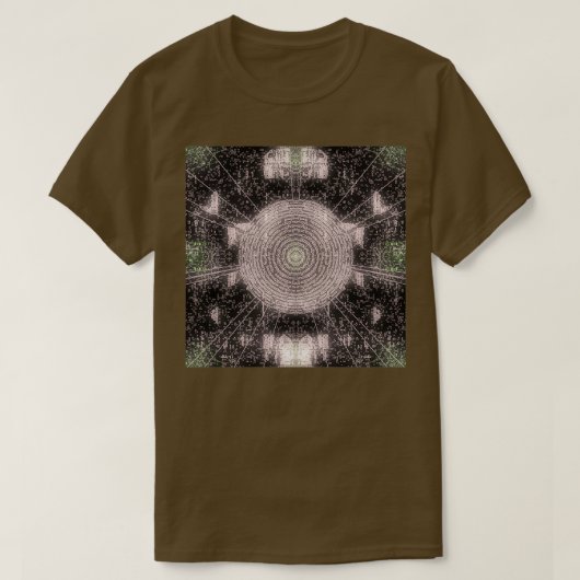 魔法のルーン文字のスペル1186 Tシャツ (デザイン正面)