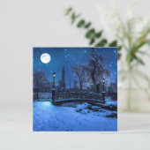 魔法の冬の夜、星空と満月 (スタンド正面)