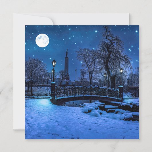 魔法の冬の夜、星空と満月 (正面)