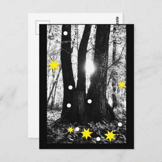 魔法の冬の木はがき ポストカード (正面/裏面)