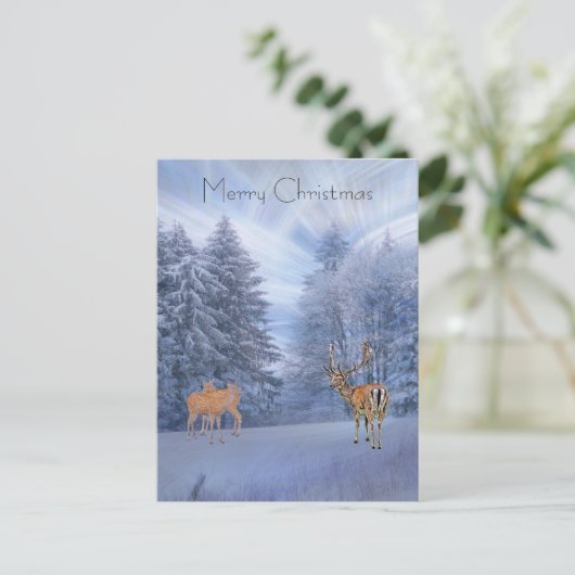 魔法の冬の森と鹿、クリスマスの休暇 シーズンポストカード (スタンド正面)