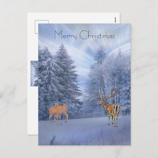 魔法の冬の森と鹿、クリスマスの休暇 シーズンポストカード (正面/裏面)