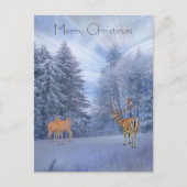 魔法の冬の森と鹿、クリスマスの休暇 シーズンポストカード (正面)