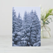 魔法の冬の森 - クリスマス (スタンド正面)