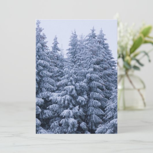 魔法の冬の森 - クリスマス (スタンド正面)