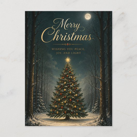 魔法の冬の森 クリスマス (正面)