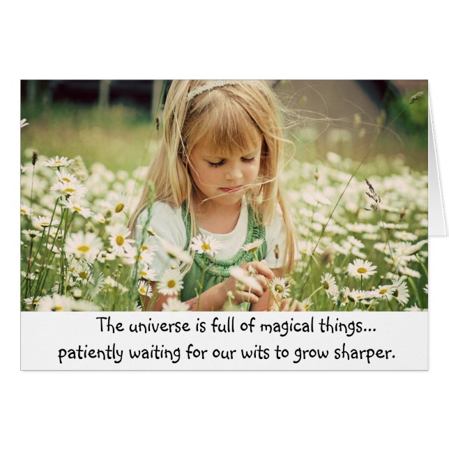 魔法の夏 (正面横)