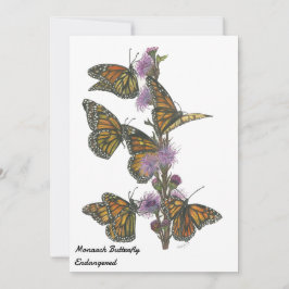 魔法の手の色彩の鮮やか（昆虫）オオカバマダラ、モナーク蝶 シーズンカード