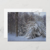 魔法の星空のクリスマス シーズンポストカード (正面/裏面)