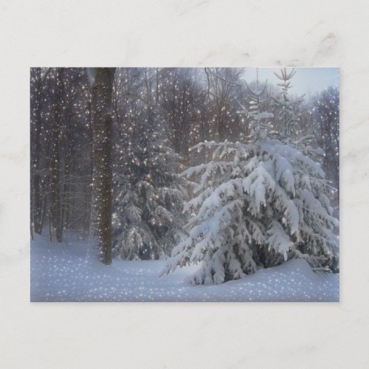 魔法の星空のクリスマス シーズンポストカード (正面)