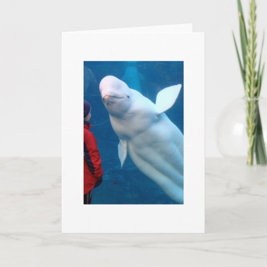 魔法の時を大事にして下さい カード (正面)