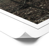 魔法の木 ポスター (角)