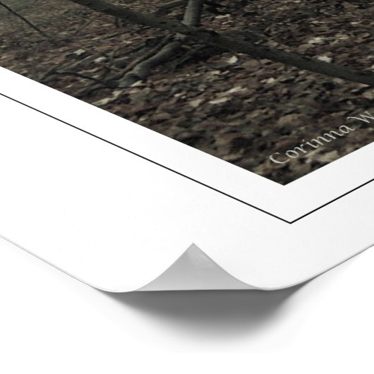 魔法の木 ポスター (角)