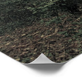 魔法の木 ポスター (角)