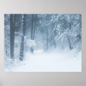 魔法の森に迷う ポスター (正面)