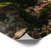 魔法の森の中を旅する ポスター (角)