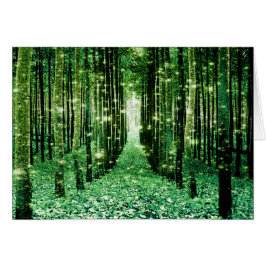 魔法の森の緑の謎