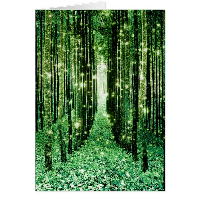 魔法の森の緑の謎 (正面)