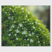 魔法の森の苔の春 ラッピングペーパー (フラット)