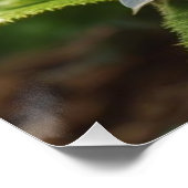 魔法の森の赤ちゃん妖精　光沢ポスター ポスター (コーナー)