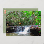 魔法の森の鹿、フクロウ、蛙、妖精たち 招待状 (正面/裏面)