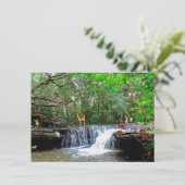 魔法の森の鹿、フクロウ、蛙、妖精たち 招待状 (スタンド正面)