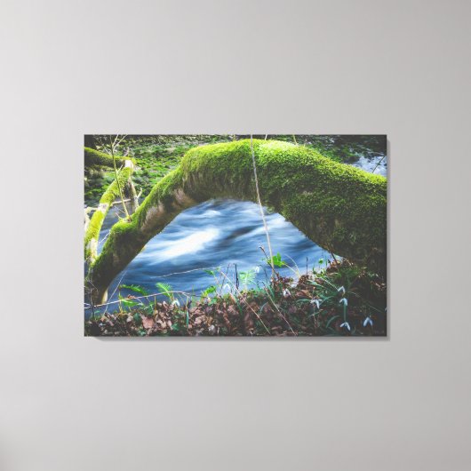 魔法の森 キャンバスプリント (正面)