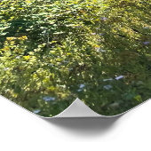 魔法の森 ポスター (角)