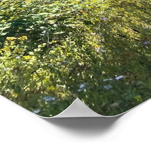 魔法の森 ポスター (角)