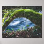 魔法の森 ポスター (正面)