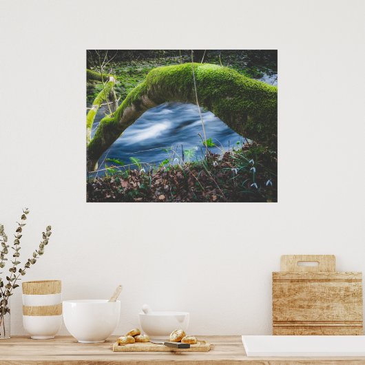 魔法の森 ポスター (キッチン)