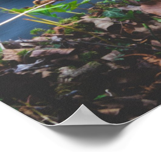 魔法の森 ポスター (角)