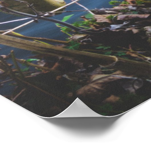 魔法の森 ポスター (角)