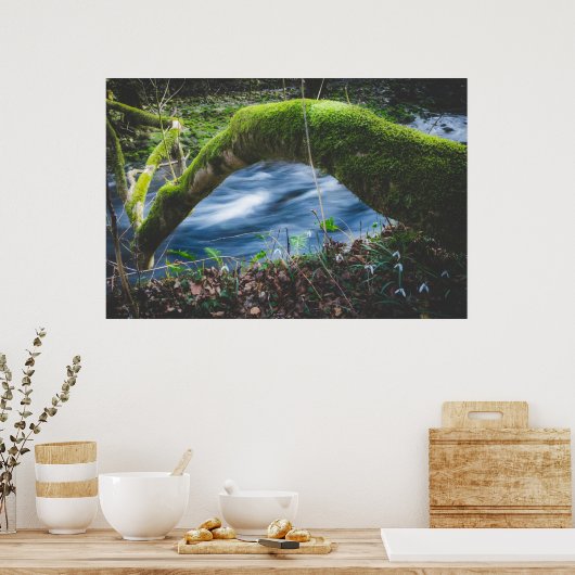 魔法の森 ポスター (キッチン)