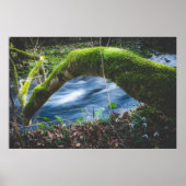 魔法の森 ポスター (正面)