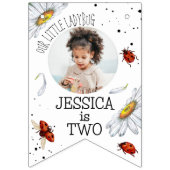 魔法の水の色かわいい誕生日ガールラディバグ バンティングフラッグ (第1の旗)