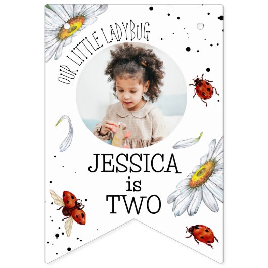 魔法の水の色かわいい誕生日ガールラディバグ バンティングフラッグ (第1の旗)