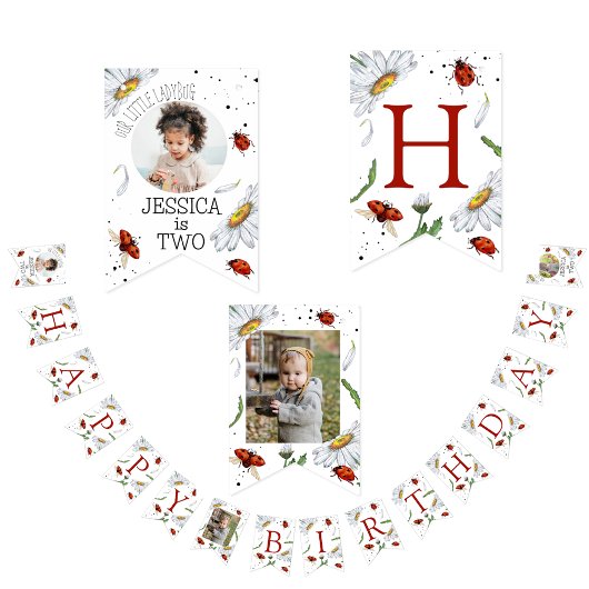 魔法の水の色かわいい誕生日ガールラディバグ バンティングフラッグ