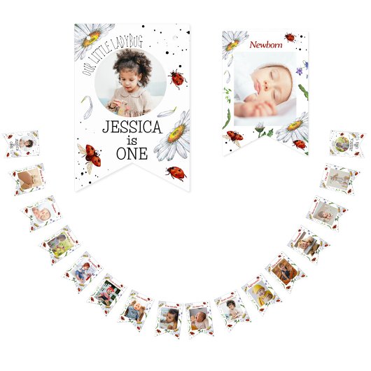 魔法の水の色かわいい1st誕生日ラディバグバンティ バンティングフラッグ