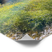 魔法の牧草地のポスター ポスター (角)