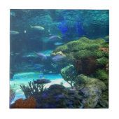 魔法の珊瑚礁 タイル (正面)