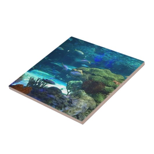 魔法の珊瑚礁 タイル (側面)