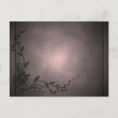 魔法の白猫はがき ポストカード (裏面)