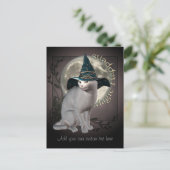 魔法の白猫はがき ポストカード (スタンド正面)