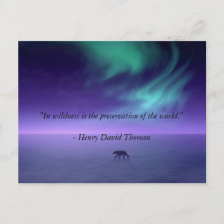 魔法の空の下 ポストカード